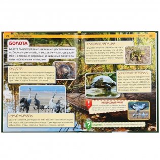 Животные России фото книги 3