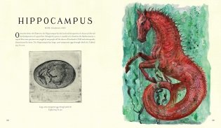 Fantastic Beasts and Where to Find Them фото книги 4