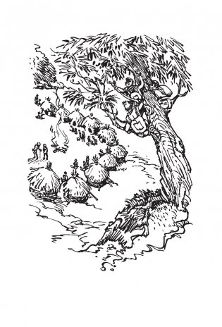 Приключения Цицерона фото книги 3