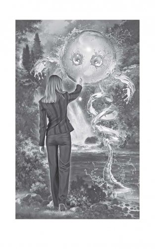 В чужой гарем со своим уставом фото книги 2