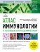 Атлас иммунологии. От распознавания антигена до иммунотерапии фото книги маленькое 2