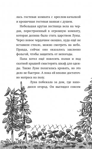 Ключик для Луны (#1) фото книги 15