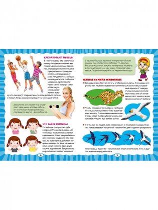 Как устроен человек. Первая энциклопедия для малышей фото книги 8