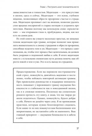 Цветы в темноте. Практики, которые помогут исцелиться от травмы и найти опору в себе фото книги 16