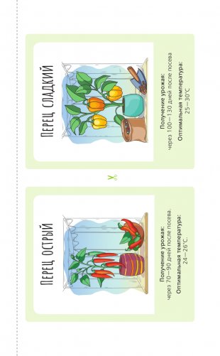 Огород на подоконнике. Идеальный урожай не выходя из дома фото книги 14