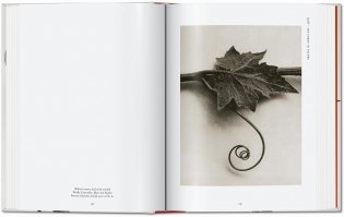 Karl Blossfeldt. The Complete Published Work. 40th Ed. фото книги 6