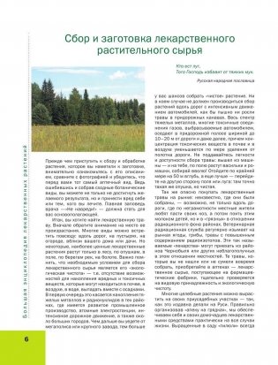 Большая иллюстрированная энциклопедия лекарственных растений фото книги 6