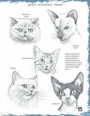 Школа рисования. Кошки фото книги 4