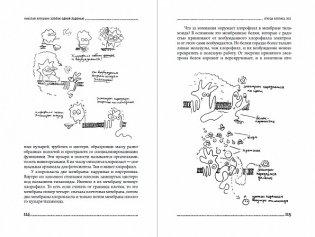 Хлопок одной ладонью. Как неживая природа породила человеческий разум фото книги 5