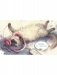 Акварельные коты фото книги маленькое 5