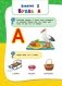 Годовой курс занятий. Для детей 3-4 лет (с наклейками) фото книги маленькое 10