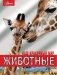 Животные фото книги маленькое 2