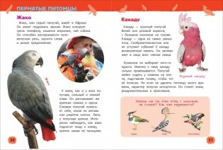 Домашние питомцы. Энциклопедия для детского сада фото книги 3