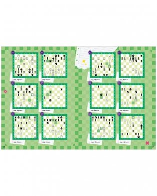 Школьный шахматный клуб. Учимся играть в шахматы. Задачник фото книги 11