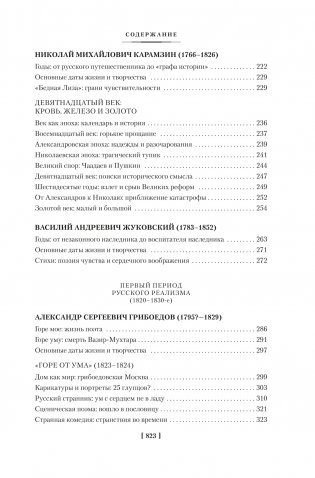 Русская литература для всех. От «Слова о полку Игореве» до Достоевского фото книги 4