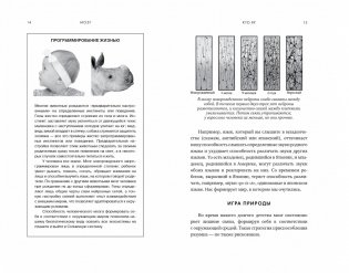 Мозг. Ваша личная история фото книги 4