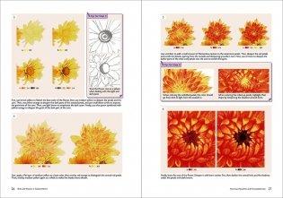 Birds and Flowers in Colored Pencil: Step-by-Step Tutorials and Techniques фото книги 11