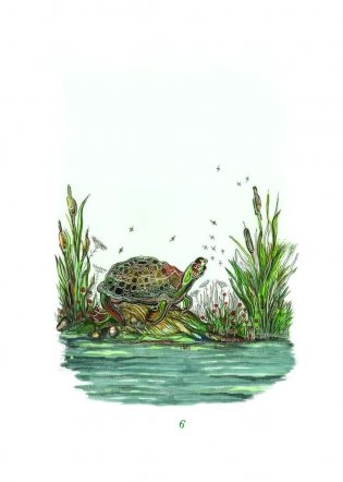 Чаму муха ва ўсе бакі бачыць фото книги 6