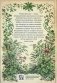 Чудесный сад фото книги маленькое 3