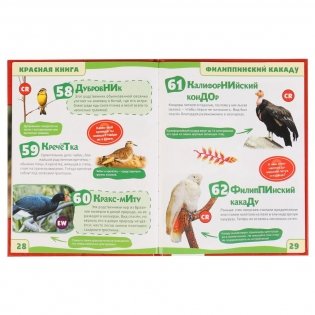 Животные красной книги. Энциклопедия. А5 фото книги 3