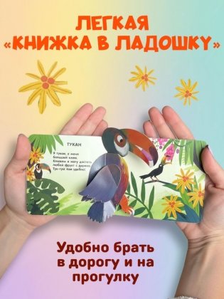 Книжка в ладошку. Веселые животные. Pop-up панорамка фото книги 4