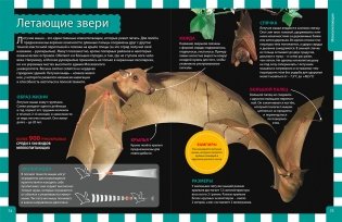 Российская энциклопедия для девочек и мальчиков фото книги 3