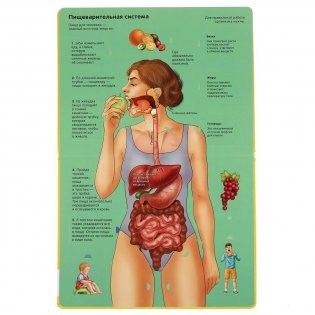 Тело человека фото книги 3