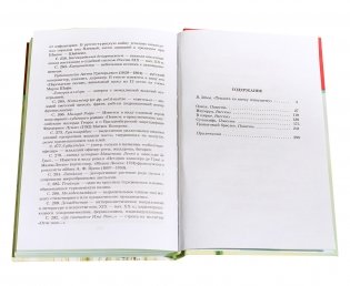 Гранатовый браслет фото книги 6