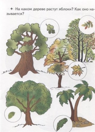 Соедини точки по цифрам. Раскраска. Что растет в саду? 10 точек фото книги 3