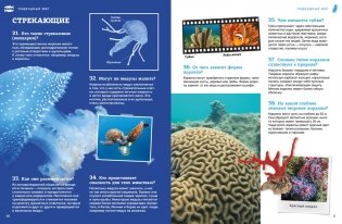 Подводный мир фото книги 4