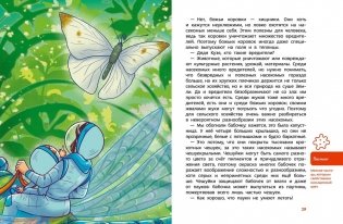 Насекомые и пауки. Детская энциклопедия (Чевостик) фото книги 3