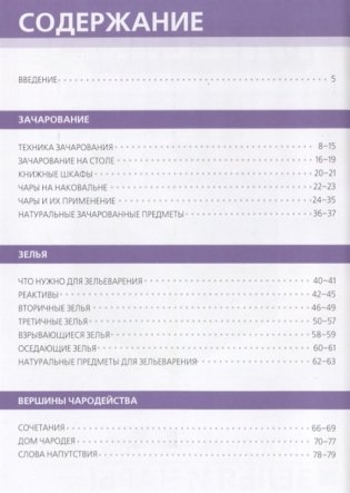 Зелья и чары. Minecraft фото книги 2