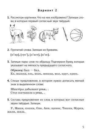 Русский язык. 2 класс. Контрольные и самостоятельные работы фото книги 4