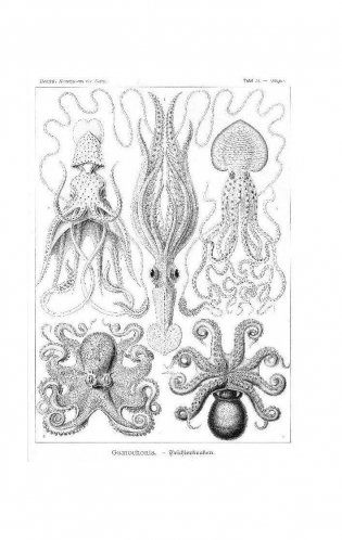 Происхождение видов фото книги 8