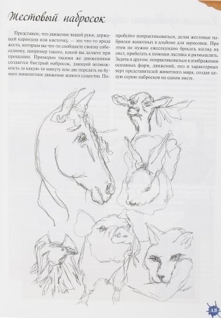 Акварельные животные фото книги 22