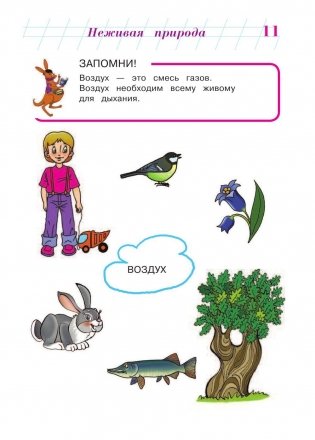 Изучаю мир вокруг: для детей 6-7 лет фото книги 11