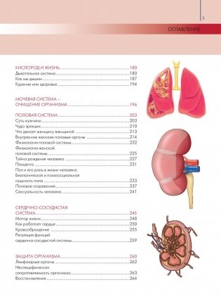 Анатомия и физиология. Большой популярный атлас фото книги 6