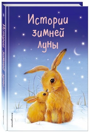 Истории зимней луны фото книги 14