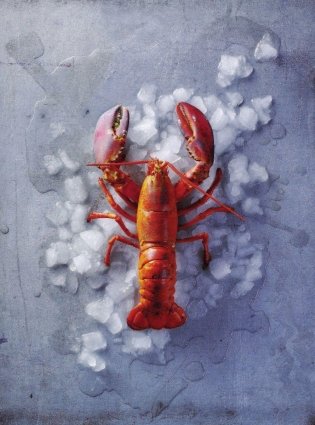 Шампань и другие игристые вина фото книги 6