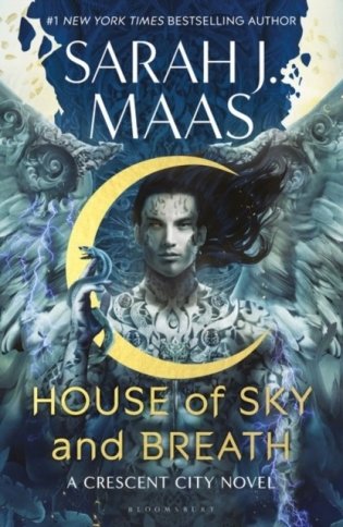 House of sky and breath фото книги
