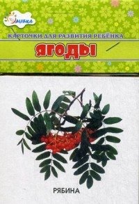 Ягоды. Учебные карточки фото книги