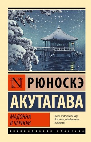 Мадонна в черном фото книги