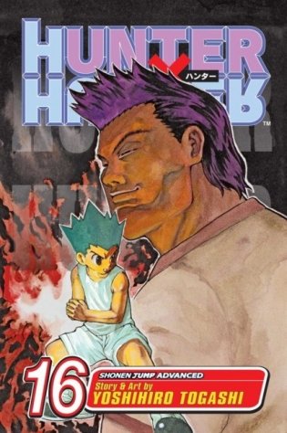 Hunter X Hunter, Vol. 16 фото книги