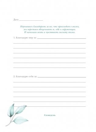 Лови день. Дневник благодарности фото книги 11