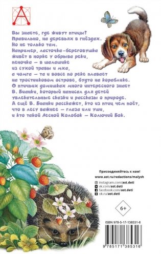 Лесные домишки фото книги 2