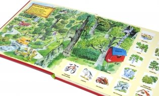 В лесу фото книги 2