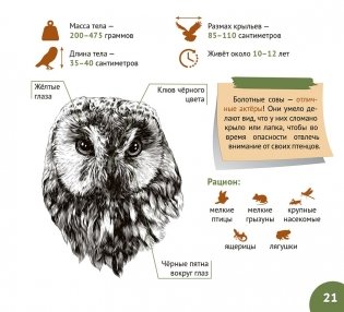 Белорусские болота. Серия "Планета животных" фото книги 6