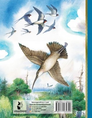 Мышонок Пик. Сказки о животных фото книги 2