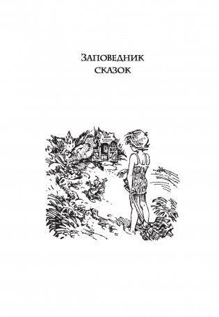 Заповедник сказок фото книги 6