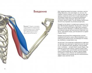 Ключевые позы йоги фото книги 5